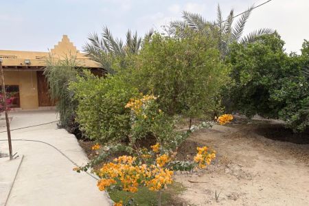 اجاره خانه حیاط دار در پارسیان