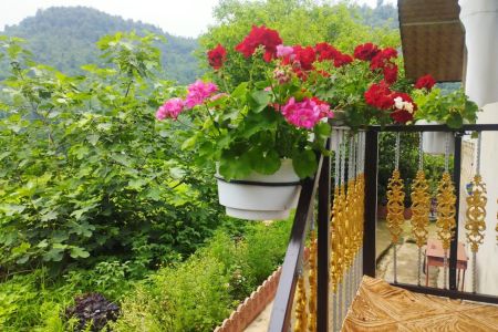 اجاره خانه حیاط دار در صومعه سرا - تنیان