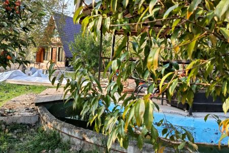 اجاره کلبه سوئیسی در سراوان