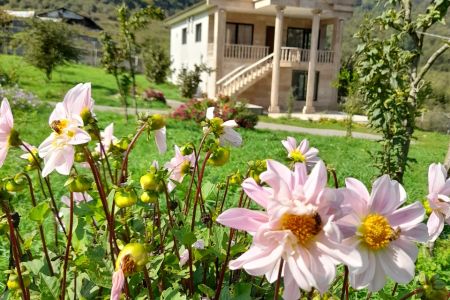 اجاره خانه مبله در چمستان نور - وازسفلی - ط ۲