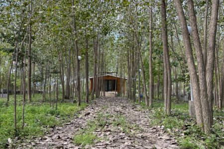 اجاره کلبه چوبی در شفت - طالش محله