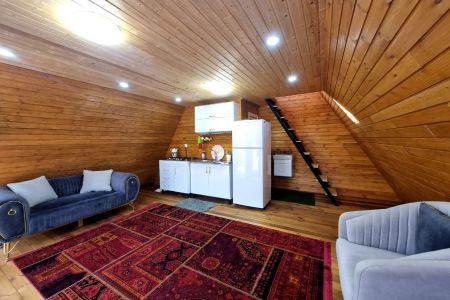 اجاره کلبه سوئیسی در شفت - میرسرا