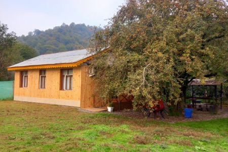 اجاره ویلا جنگلی در تالش - سراگاه