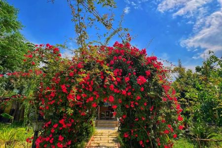 ویلا استخردار در گرگان - پنج خوابه - توشن