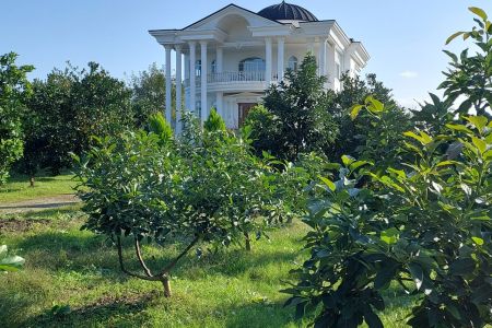 اجاره ویلا استخردار در کلارآباد - جاده سی سرا