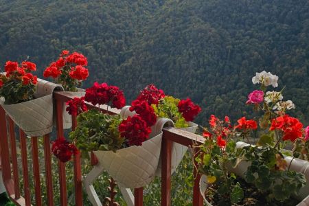 اجاره ویلا در افراتخته - طبقه سوم