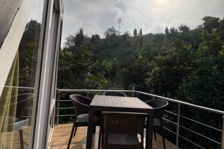 کلبه سوئیسی جنگلی در لاهیجان - زمیدان