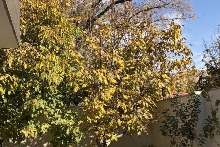 اجاره ویلا در آبسرد - لومان