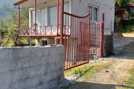 سوئیت جنگلی در سیاهمزگی شفت