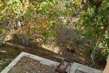 اجاره ویلا در سواکوه - پالند رودبار