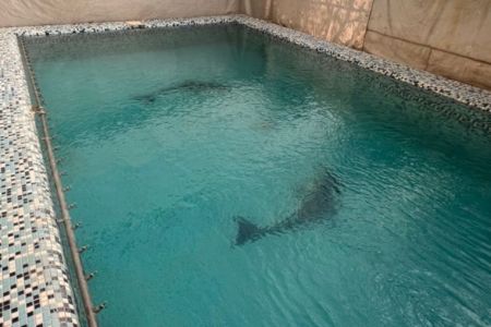 ویلا دوبلکس استخردار در پردیس - کرشت