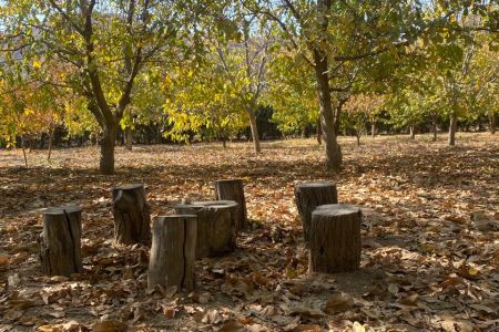 سوئیت مبله در مریوان - دره تفی - همکف