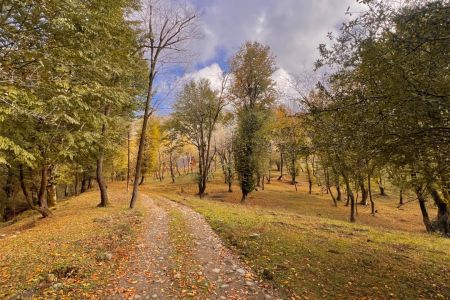 اجاره کلبه سوئدی در لفور - شاهکلا