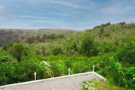 اجاره کلبه چوبی در بابلکنار - ویارسره