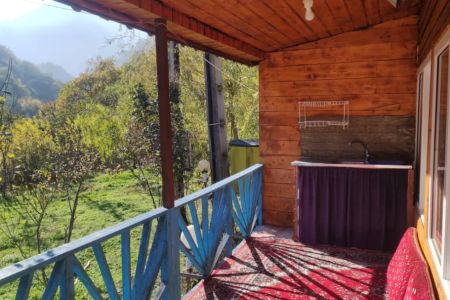 سوئیت جنگلی در ماسال - سلیم آباد