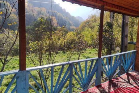 سوئیت جنگلی در ماسال - سلیم آباد