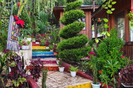 رزرو کلبه با چشم انداز کوه در بام سبز ماسال