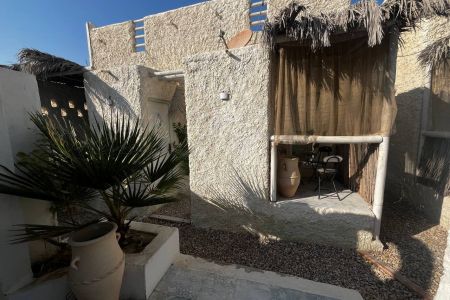 بومگردی ساحلی در قشم - نقاشه