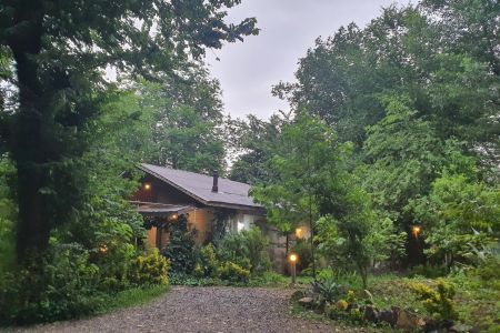 اجاره خانه جنگلی در سراوان