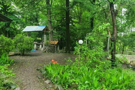 اجاره خانه جنگلی در سراوان