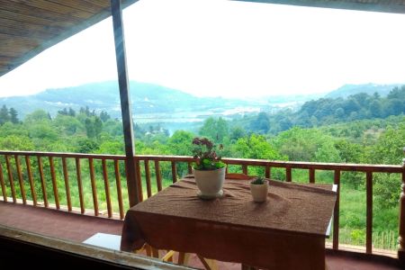 کلبه با چشم انداز جنگل در بابلکنار - چهره