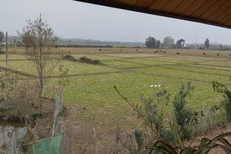 ویلا چهارخوابه استخردار بین ماسال و صومعه سرا