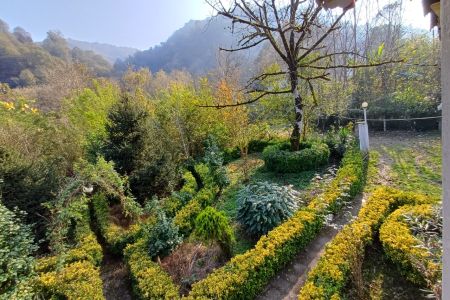 ویلا با بالکن رو به جنگل در شفت - کلوان