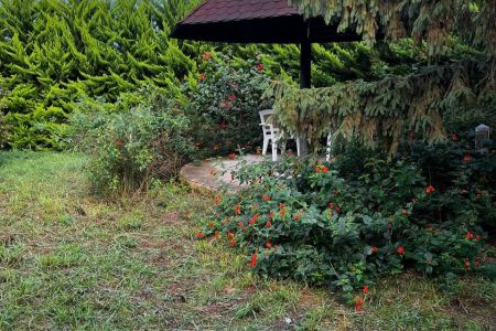 اجاره ویلا در شهرک نمک آبرود