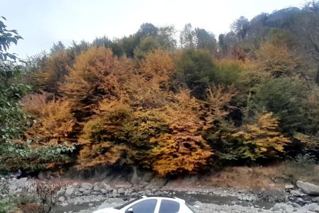 رزرو کلبه سوئیسی در لفور - امام کلا