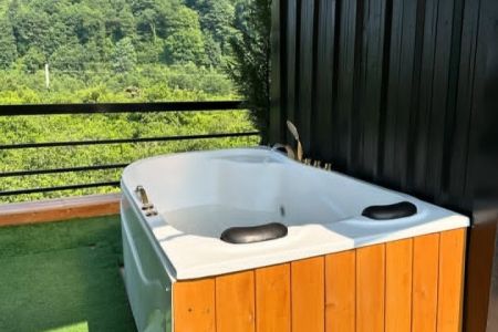 کلبه سوئیسی استخردار رو به جنگل در دالخانی