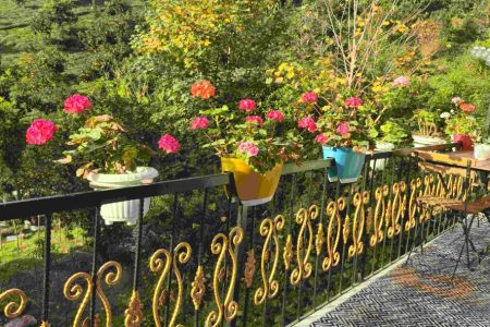 اجاره خانه مبله در املش - جیرگوابر