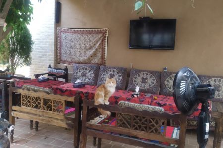 بومگردی نزدیک آتشکده زرتشتیان - سردابخانه