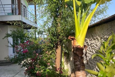 ویلا دوبلکس استخردار در نور - سلیاکتی