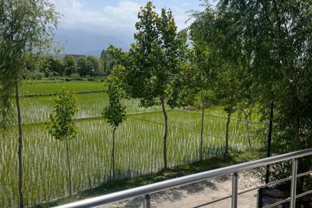 ویلا استخردار در نور - سلیاکتی