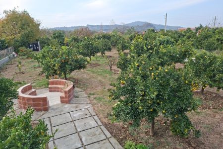 کلبه سوئیسی در شیرگاه - حاجیکلا