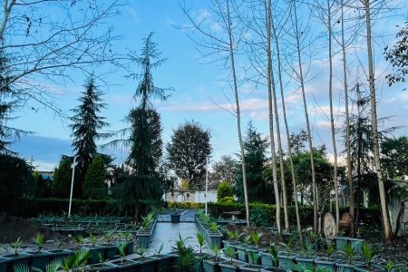 کلبه سوئیسی در رشت - میشامندان