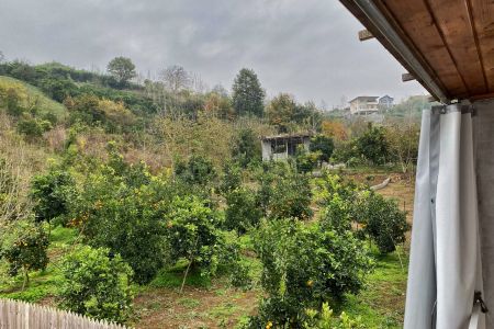 کلبه سوئیسی در بابلکنار - سیادرکا