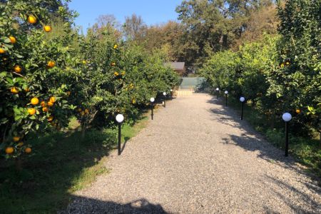 سوئیت حیاط دار در محمود آباد - تشبندان