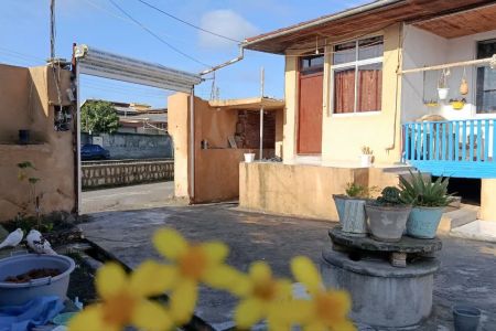 سوئیت در بندرگز - واحد میچکا