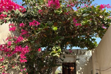 خانه ویلایی در ساحل قشم - بندر لافت