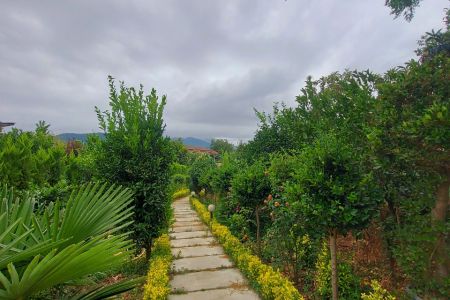 اجاره کلبه سوئیسی در چابکسر