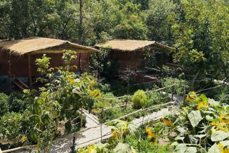 رزرو بوم گردی در نیشابور - بوژان - زردآلو