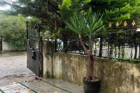 خانه ویلایی در متل قو - دریاگوشه - واحد ۱