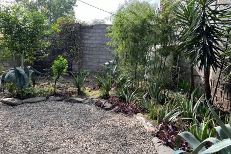 سوئیت حیاط دار در کوچصفهان - رشت آباد