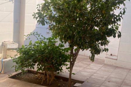 خانه ساحلی نزدیک قلعه پرتغالی ها در هرمز