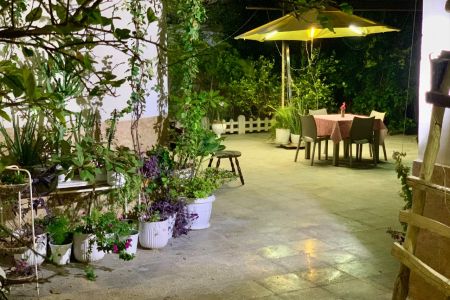 جناح صغير بحديقة في بندر عباس