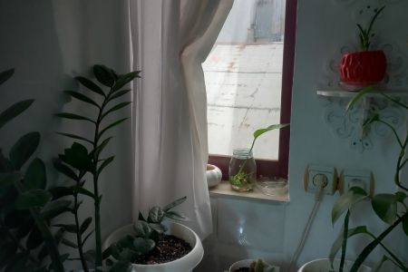 سوئیت در رشت - میدان امام حسین - همکف