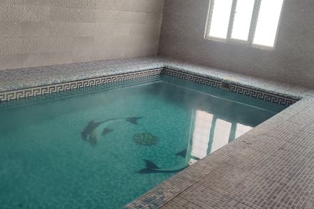 ویلا استخر دار در لم آباد - ملارد