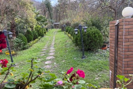 اجاره ویلا جنگلی در ماسال با جنگل اختصاصی و چشمه