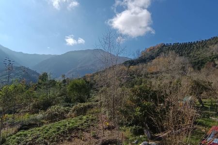 خانه حیاط دار در رانکوه - جیرگوابر - همکف